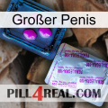 Großer Penis 37